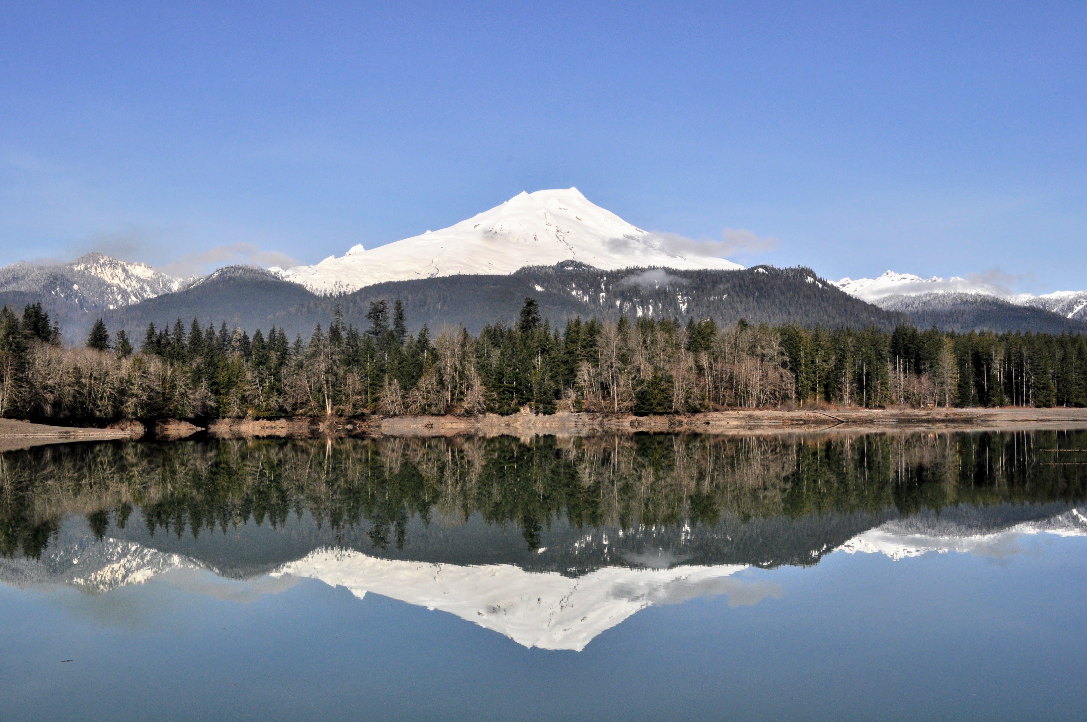 Baker Lake Maple Grove — Washington Trails Association